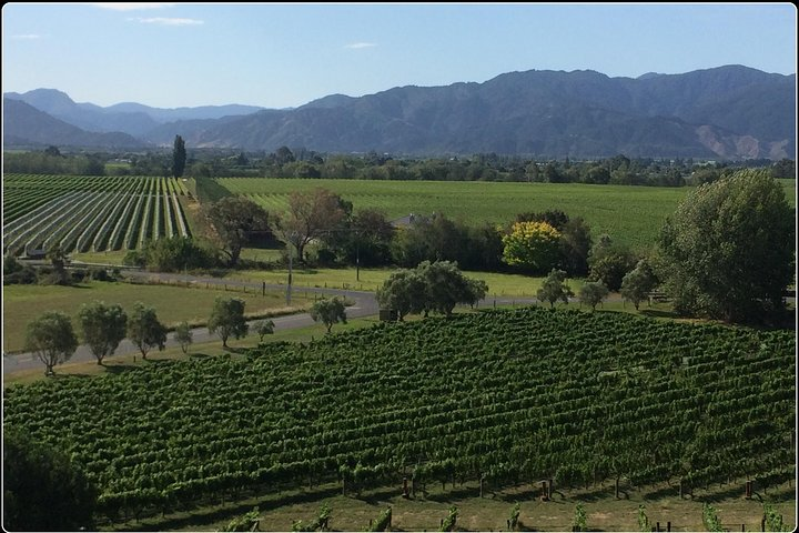 Private Wine Gourmet and Scenic Delights Tour from Picton - Photo 1 of 7
